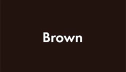 Sunesta frame color - brown