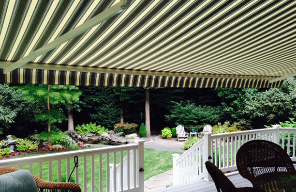 Sunesta retractable awning products